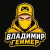 Иконка канала 👑 Владимир Геймер