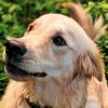Иконка канала Ярик Вобот