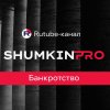 Иконка канала ShumkinPRO