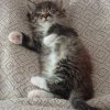 Иконка канала ТаПоЧеК