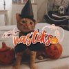 Иконка канала 𝕟𝕒𝕤𝕥𝕚𝕜𝕤🎃