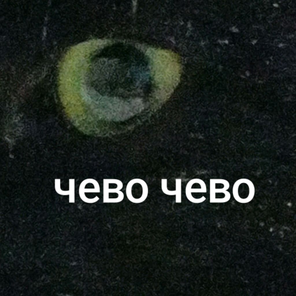 Иконка канала KittySofi_5