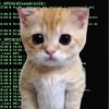 Иконка канала Эльгато android 2013
