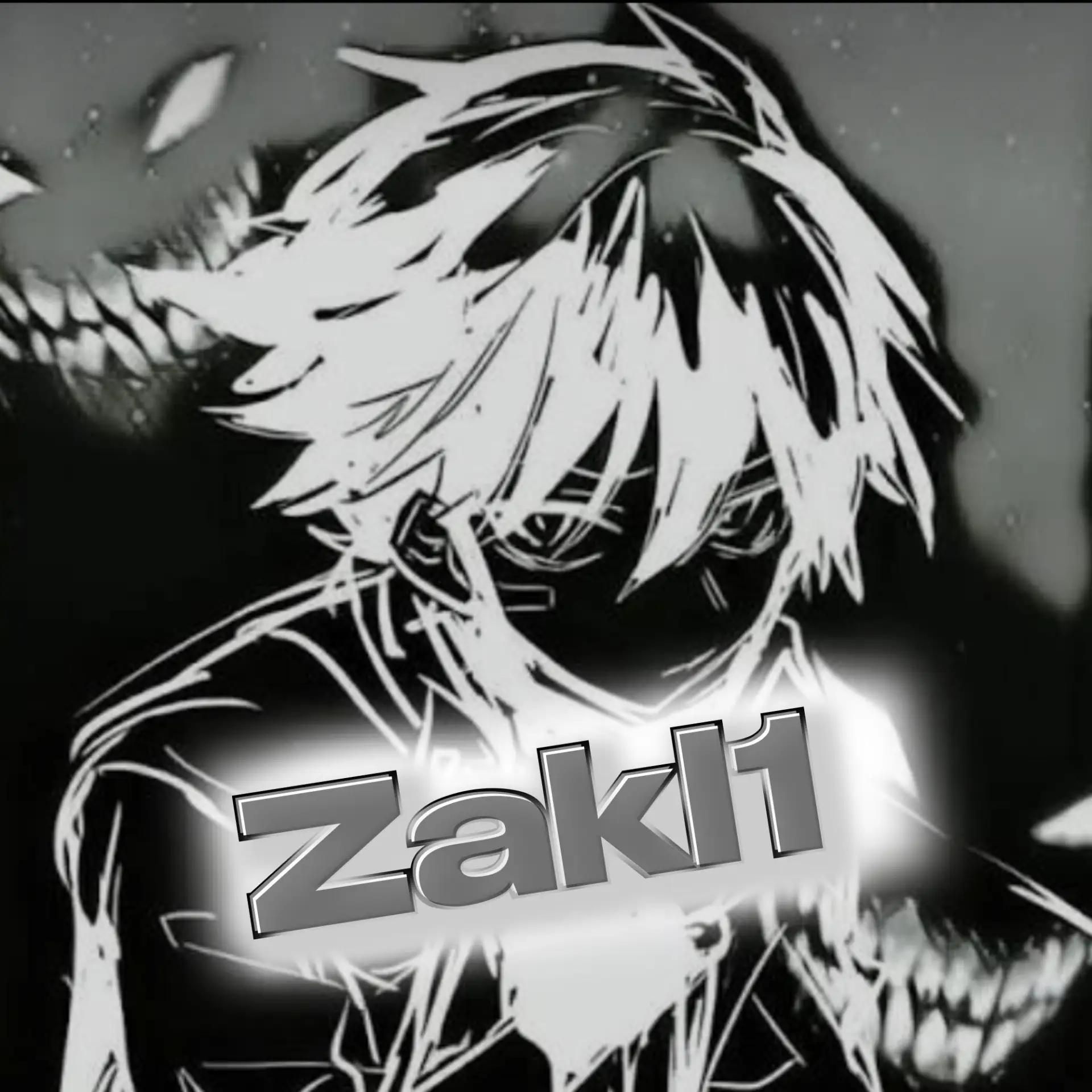 Иконка канала Zakli