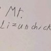 Иконка канала Mr.Lizunchick
