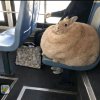 Иконка канала channel80170691