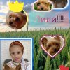 Иконка канала 🐶НАСТИК🐶