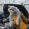 Иконка канала forwvrdslvsh