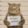 Иконка канала КСЕИ KAT@