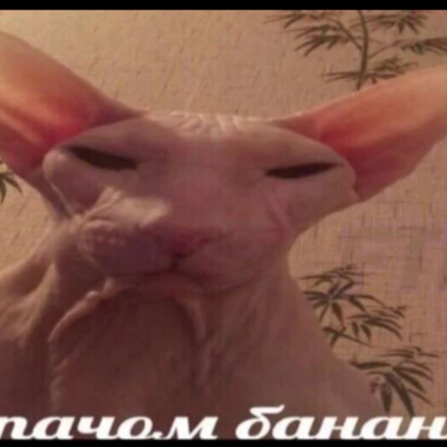 Иконка канала Egorka
