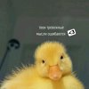 Иконка канала ﹥3 Гача тренды2ミ🎀ミ