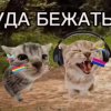 Иконка канала 🤎Наоми🔗