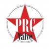 Иконка канала PRCValve Daisy