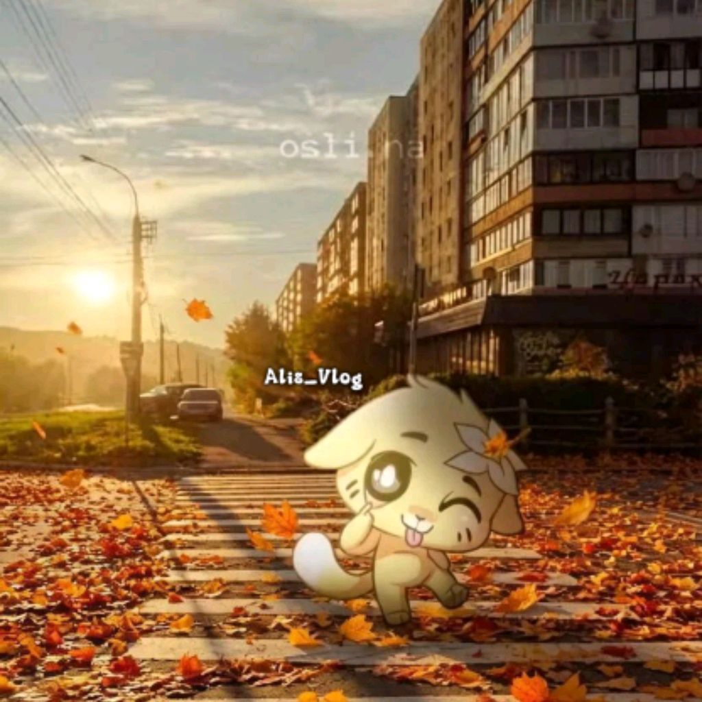 Аватар