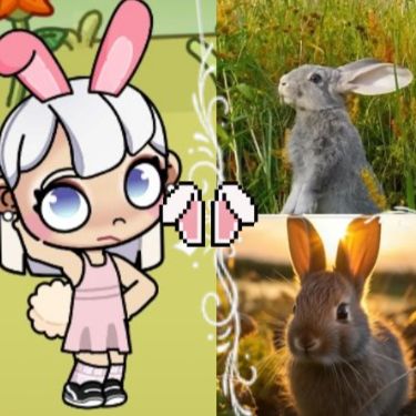 Иконка канала 🐰Dasha bunny🥕