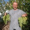 Иконка канала Виноград в Ростове-на-Дону на даче Ефремовых