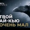 Иконка канала 👑ИМПЕРАТОР ВОЛОДЯ КУКЛОВОД👑
