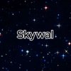 Иконка канала Skywal