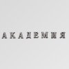 Иконка канала РОССИЙСКАЯ АКАДЕМИЯ НАУК