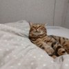 Иконка канала Мь