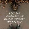 Иконка канала Любитель Всех Животных❤️