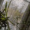 Иконка канала Кира