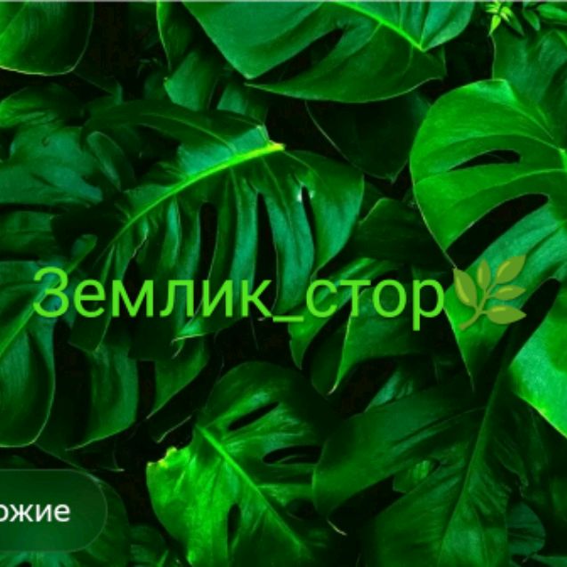 Иконка канала Землик Стор🌿,Фан Сонечки🍀