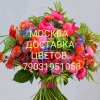 Иконка канала channel42560139