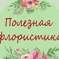 Иконка канала Полезная флористика