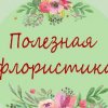 Иконка канала Полезная флористика
