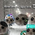 Иконка канала Тимати и друзья 5