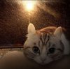 Иконка канала Пат_рик