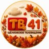 Иконка канала ТВ41| Щелковское телевидение