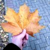 Иконка канала Красота и Мир