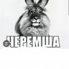 Иконка канала Черемша