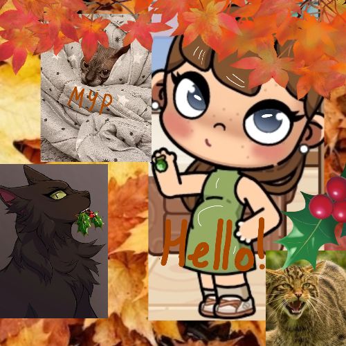 Иконка канала 🍁 🤍 Ember_family_autumn🤍🍁