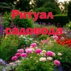 Иконка канала Старая новая дача/ Рукоделие счастья