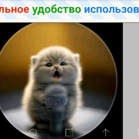 Иконка канала Мульти Шоу ASMR