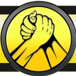 Иконка канала BROTHERS MOTORS