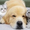 Иконка канала Всё Про Всё
