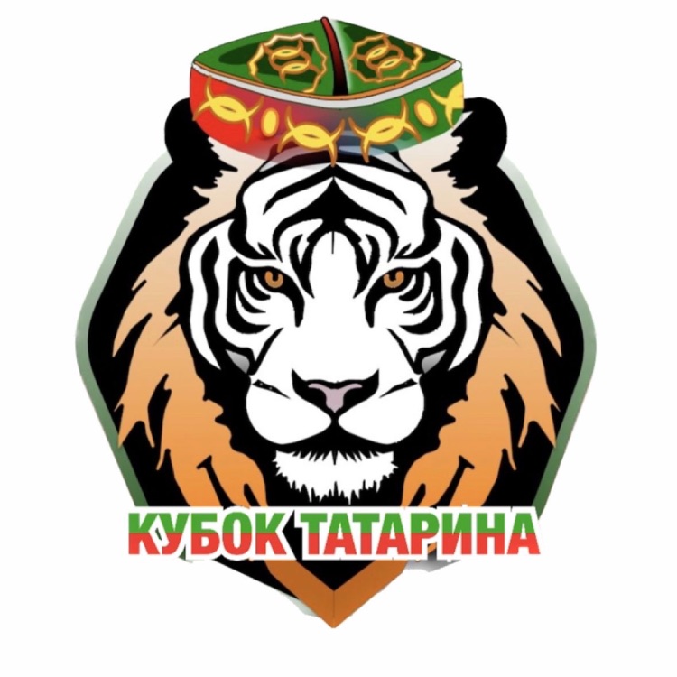 Иконка канала Кубок Татарина