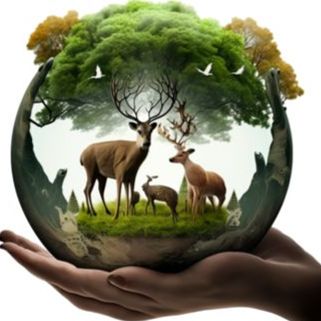 Иконка канала «По следам тайн природы»