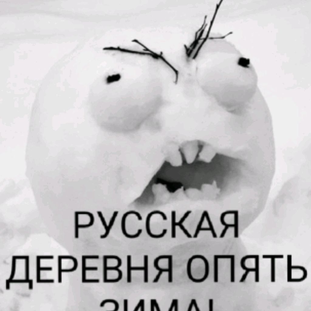 Иконка канала Русская Деревня