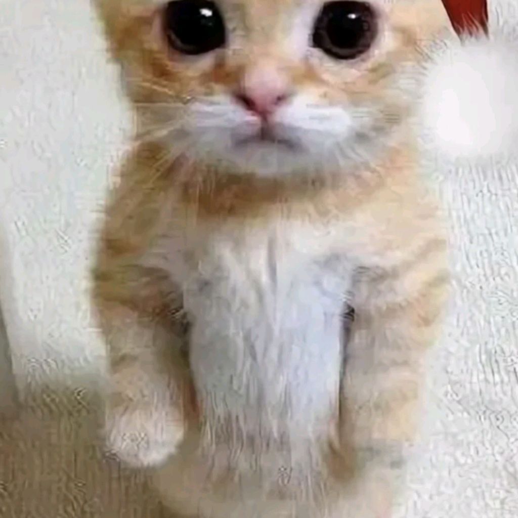 Иконка канала Хакерша