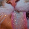 Иконка канала channel39277162