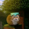 Иконка канала ScaredCat🙀