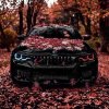 Иконка канала roult