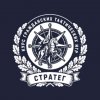 Иконка канала Стратег | гражданские тактические игры