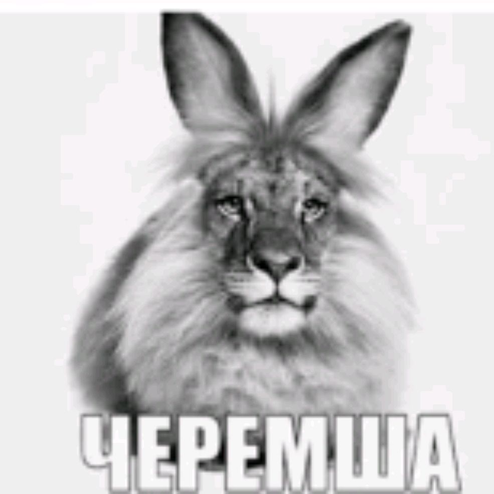Иконка канала Tumoxa