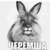 Иконка канала Tumoxa